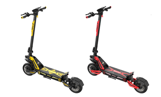 Enthusiast Series Electric Scooter